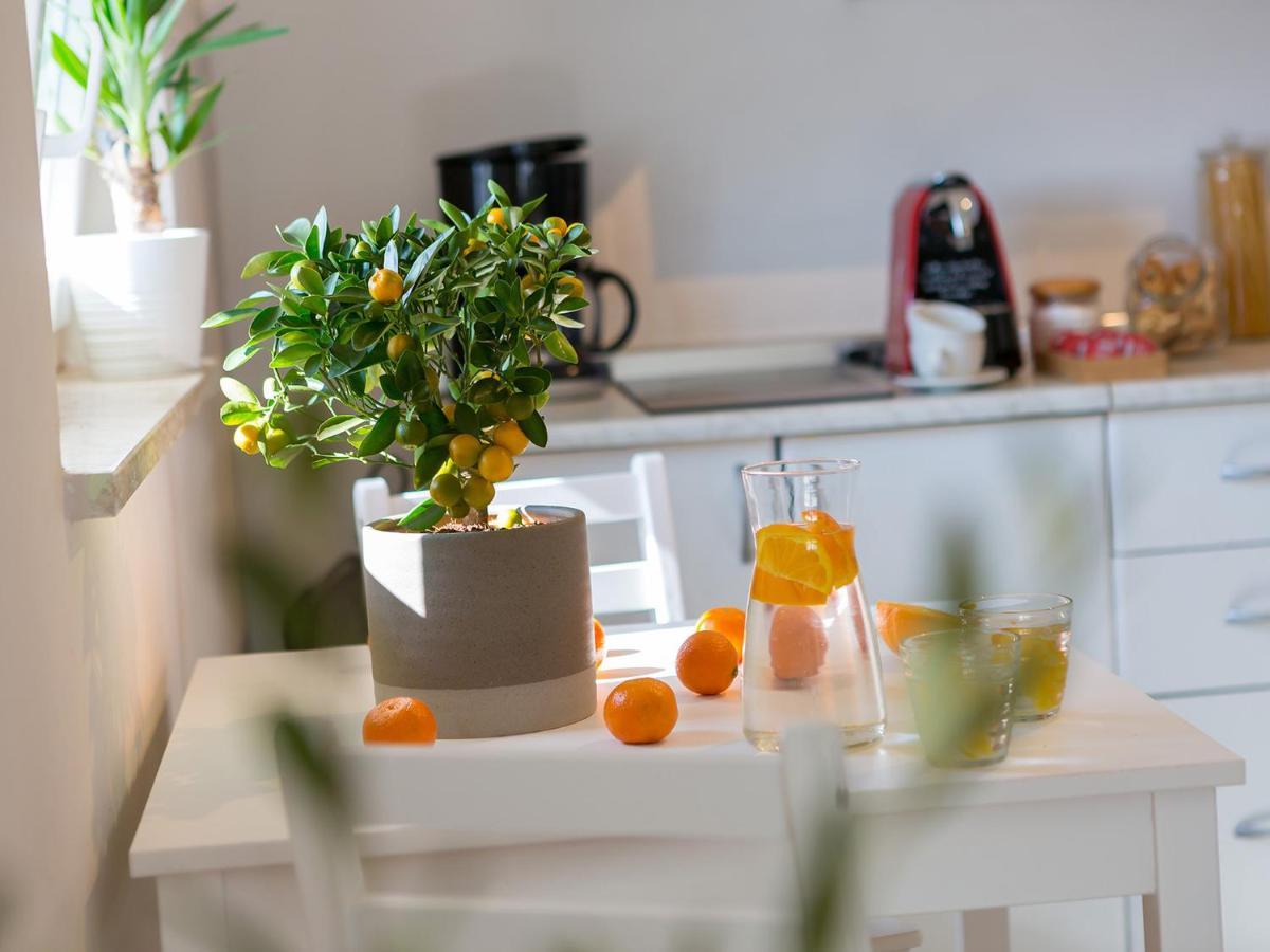 Dream Istria Holiday Porec Bagian luar foto